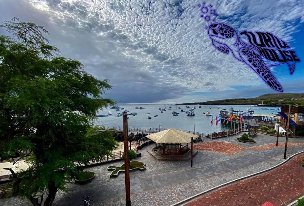 Tortuga House Lejlighed Puerto Baquerizo Moreno Eksteriør billede